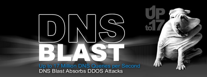 DDOS-DNS_BLAST-EfficientIP