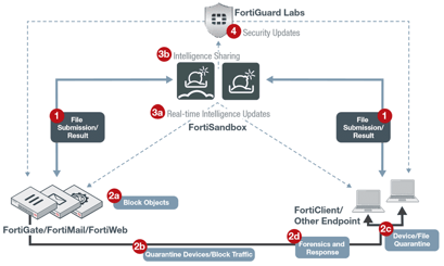 Fortinet-sandboxing-2