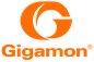 gigamon_Logo_Partenaire_360
