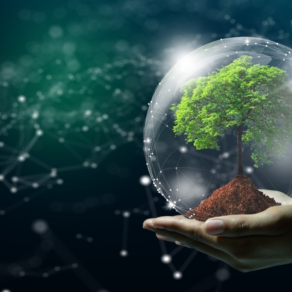 Bilan carbonne Interdata_RD