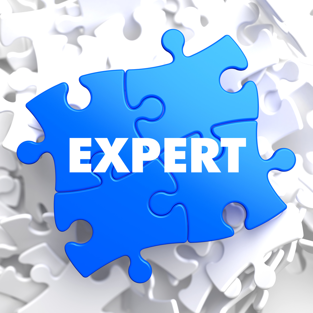 Expert on Blue Puzzle on White Background.